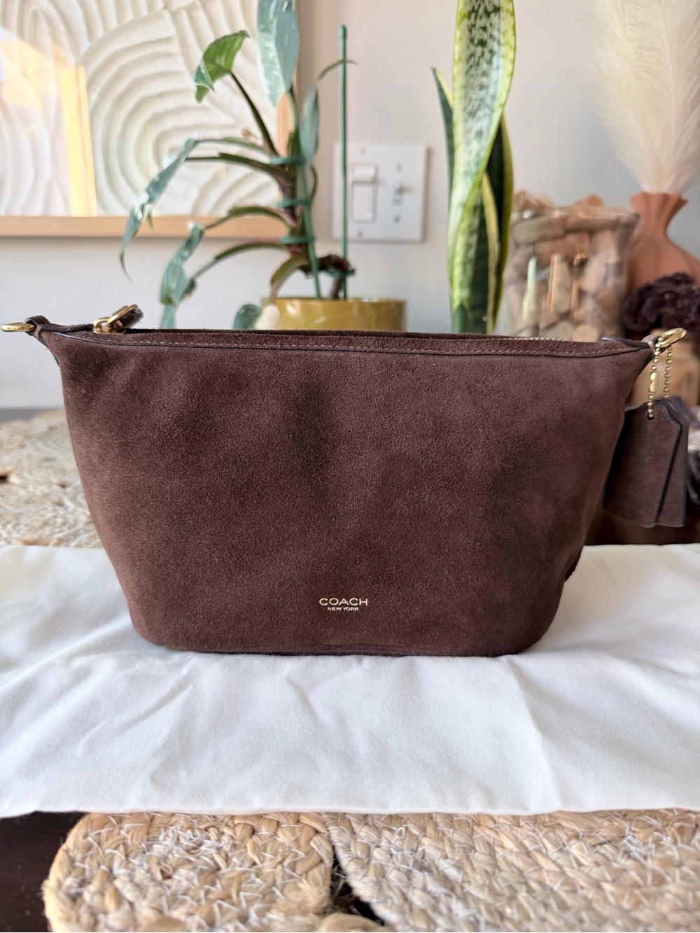 Coach Demi Bag Limited Re-Edition 2026